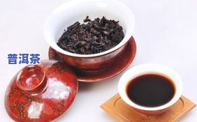 清池茶叶属于什么茶种？详解其品种与分类