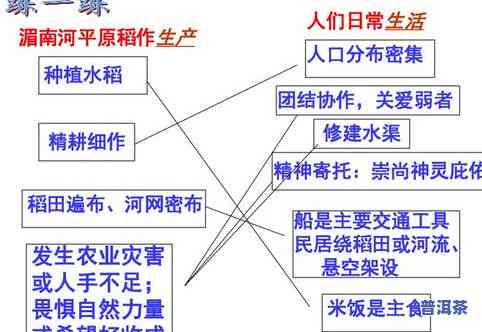 普洱茶的减肥作用是什么-普洱茶的减肥作用是什么呢