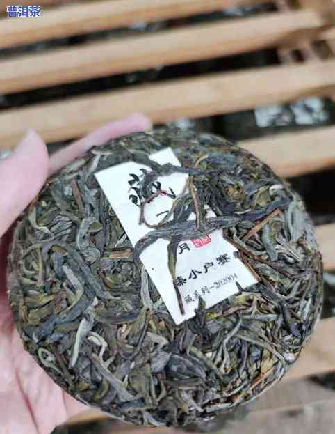 名茶十大名茶有哪些，探秘名茶：十大名茶大盘点