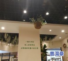 紫芽普洱茶价格查询：最新生茶价格表及官网信息