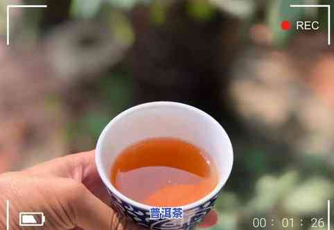 老班章哪个茶厂正宗，探秘老班章：怎样辨别正宗的茶厂？