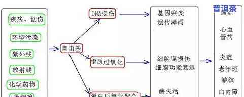 茶叶加工厂选址请求-茶叶加工厂选址请求标准