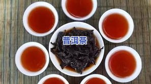 99普洱茶多少钱一斤-普洱茶9948