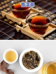 七子普洱茶是什么？含义、饮用方法及品质解析