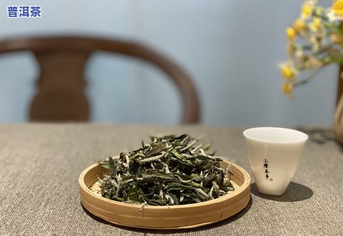 的六大茶叶：品种、类型与制作方法全解析