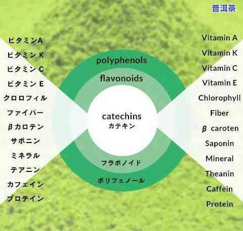 茶叶按季节不同如何分类？详解茶叶种类与季节的关系