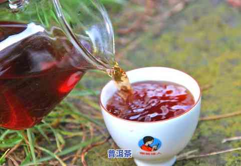 4克普洱茶泡多少水更好-4克普洱茶泡多少水更好喝