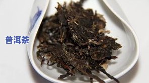 普洱茶菌图，探索神秘的普洱茶菌世界：一幅详细的菌图解析