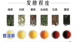 普洱茶的耐泡起因解析：从多个方面熟悉其特性