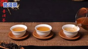 普洱茶的耐泡度由哪些因素决定？
