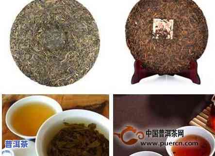 实拍：揭秘全球最贵普洱茶及其价格排名