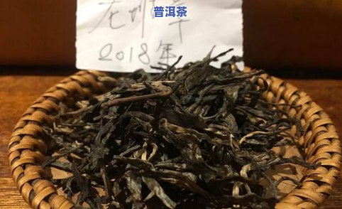 云南景谷的普洱茶：口感特征与品质评价