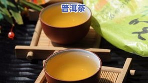 易武三合社茶饼：价格全览与最新春茶信息