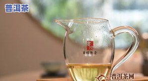 易武三合社茶饼：价格全览与最新春茶信息