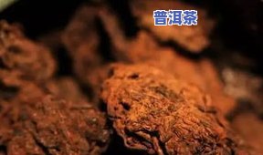 查处普洱茶-普洱茶