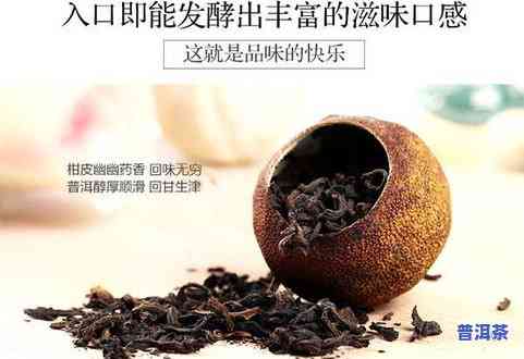 通州陈皮普洱茶-陈皮普洱茶价格