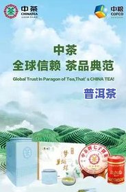 安徽泾县茶叶：、品质、种类与市场全解析