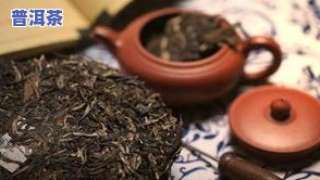 冰岛古树茶：绿茶还是红茶？探讨其品种与特点