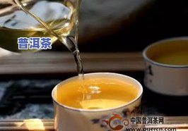 普洱茶的鞣酸含量高吗？了解其影响与原因