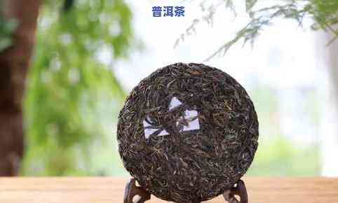 普洱茶七大茶山在哪里-普洱茶七大茶山在哪里啊