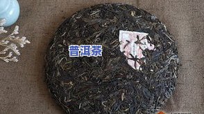 云南古树普洱茶的功效、作用及价格全解析