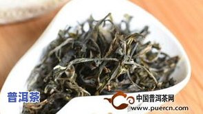 云南古树普洱茶的功效、作用及价格全解析