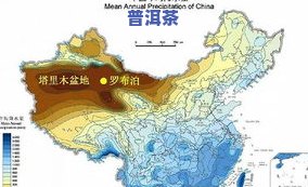 茶叶主要分布在哪里地区？地理分布及地形作用解析