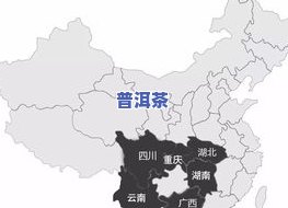 茶叶主要分布在我国哪些地区？详解其分布情况与原因