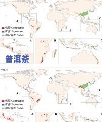 茶叶主要分布在哪里-茶叶主要分布在哪里地区