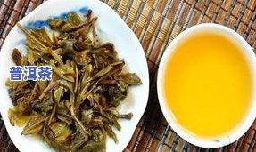 比较好的普洱茶多少钱？了解不同价位的好茶