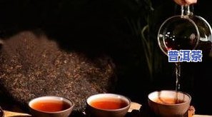 熟普洱茶能浇花嘛？图片欣赏大全与价格详解！