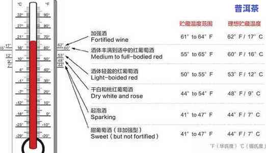 茶叶储存的5个基本条件：湿度、温度、避光、防异味、密封