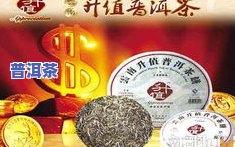 新普洱茶典：杨中跃的在线阅读与藏贡品价格