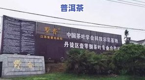 周口茶叶场地址及联系方法