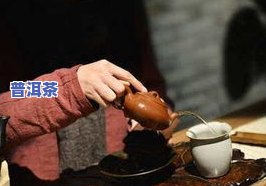 茶叶放在茶壶的哪里比较好？从口感、卫生到便利性全面解析