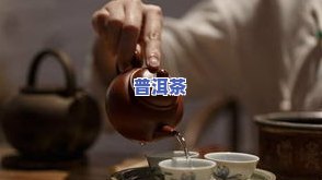 普洱茶保温杯泡法详解：步骤、视频与窍门全攻略