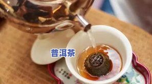 普洱茶保温-普洱茶保温杯泡法