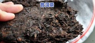 普洱茶保温-普洱茶保温杯泡法