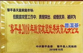 产茶三大省：浙江、福建、安徽，产量与名茶数均居前列。懂茶人常选龙井、铁观音、黄山毛峰等四大名茶品鉴。