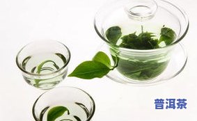 绿豆味的茶是什么茶？详解其种类和特点