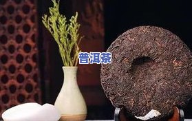 散生普洱茶放多久更好？收藏与品尝的平衡点探讨