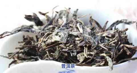 普洱茶雨林春茶-雨林普洱茶价格表