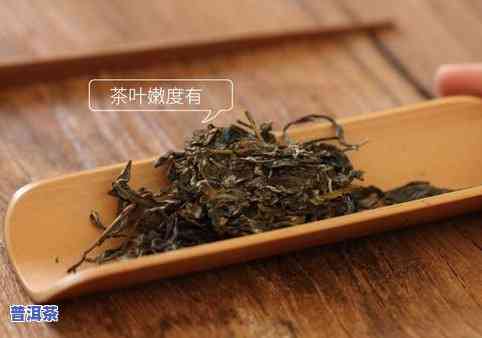 景东县普洱茶：兰花香特色与价格一览