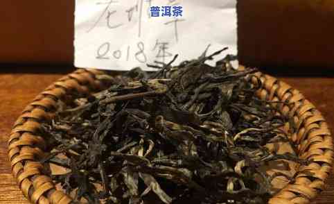 大树普洱茶价格表：多少钱一斤？功效是什么？它属于什么茶类？看图了解！