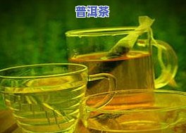 人喝绿茶吗？绿茶在不同文化中的接受度比较