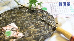 传统普洱茶：选用笋叶包装，独特制作工艺与现代茶的对比