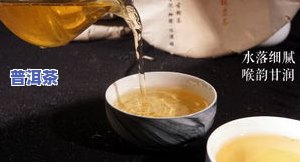 传代正宗普洱茶-传代正宗普洱茶图片