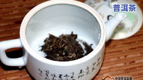 怎样泡制老普洱茶饼子视频-怎样泡制老普洱茶饼子视频教程