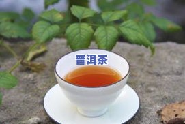 普洱茶怎么买才不会被坑？教你识别真伪，避免花冤枉钱！