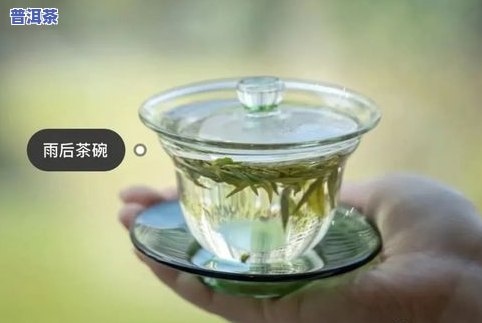 普洱茶盖碗大小怎么区分？正确选购和采用方法全解析！
